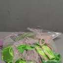 Disguise Tinker Bell Deluxe Costume Adult Costume 12-14