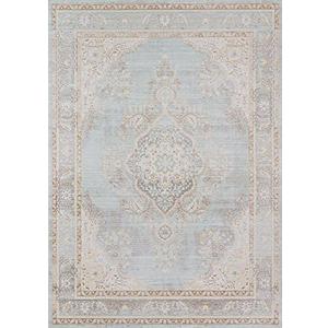 Isabella Rugs Isabella Traditional Medallion Flat Weave Area Rug, 2'7"×8', Blue