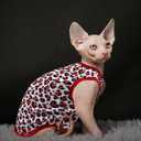8 Pcs Pet Shirts for Small Dogs Cats,Soft and Breathable Dog Printed Clothes with Cute Patten,Dog Sweatshirt Outfit for Chihuahuas Papillons Pomeranian (for Cute Girl, Medium)