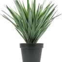 Velener Artificial Agave Plant in Black Pot with Real Stone Pebbles, Large Fake Agave Plant for Indoor and Outdoor-22 inches Tall, 105 Leaves