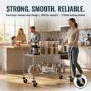 Finnhomy 2 Tier Commercial Grade Rolling Cart, Heavy Duty Utility Cart, Carts with Wheels and Handles, Kitchen Carts on Wheels, Metal Cart with 600 lbs Capacity, Shelf Size 23.6"Dx47.2"W x 39.4"H, NSF