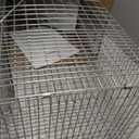 Animal catcher