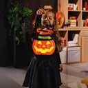 BlcTec Halloween Pumpkin Lights, 10 inch Lighted Big Jack-O-Lantern with Maple Leaves, Berries, Twigs, Witch's Hat, Battery-Operated Premium Wood Pumpkin with Timer for Halloween Decorations, Style B