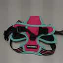 rabbitgoo Dog Harness No Pull with 2 Leash Clips, Adjustable Soft Padded, Reflective Oxford No Choke Pet Vest with Easy Control Handle for Large Dogs, Hot Pink & Turquoise, S