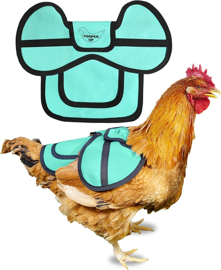 COOPED UP Canvas Chicken Saddle for Medium-Large Hens with Larger Wing Cover and Adjustable Straps - Teal