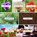 Spring Fragrance Oils Set of 14, MitFlor Premium Diffuser Essential Oils, Candle Making Scents, Aromatherapy Essential Oils Gift Set, Cherry Blossom, Garden Iris, Spring Bloom, 14x10ml