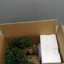 Artificial Bonsai Tree with Blue and White Porcelain Pot, Fake Bonsai for Home Office Desk Decor, Oriental Zen Tabletop Decoration, Faux Bonsai Plant for Living Room, Shelf & Gift