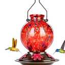 Hummingbird Feeder, BOLITE Glass Hummingbird Feeders for Outdoors Hanging, 20 Ounces, Leak Proof, Meshy Texture Ball Shape Bottle, Red, Birthday Gifts for Women Men, Gifts for Mom Dad