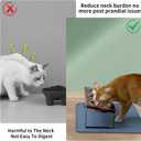 Upgraded Elevated Cat Bowls with Food Mat,15Tilted Stand Anti Vomiting Raised Cat Dishes for Food and Water,3 Stainless Steel Bowls for Cats and PuppyRustic Brown