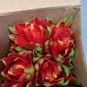 Hotop 6 Pcs Red Bromeliad Artificial Tropical Flowers 16 Inch Plastic Tropical Imitation Plant Flower Fake Bromeliad Artificial Bouquets for Home Tabletop Room Indoor Outdoor Decoration