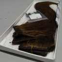 Clip in Short Hair Extensions Real Human Hair,Prokyvity Short Hair Extensions Clip ins,Mini Hairpieces for Volume & Highlights,Seamless & Invisible Design,6 Pieces 31g 10 inch Medium Brown