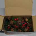 FUNPENY Christmas PineCones String Lights, 6.56Ft 20 LED Pine Needles Red Berries Fall Light Garland, Indoor Outdoor Decor for Thanksgiving Christmas Autumn Themed Party Decorations