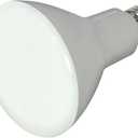 Satco 9.5 watts Warm White Bulb
