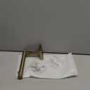 KOKOSIRI Toilet Paper Holder Champagne Bronze Toilet Roll Holder Hold Mega Rolls Kitchen Bathroom Tissue Paper Dispenser Stainless Steel, B2005CPG (Horizontal)