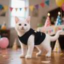 4Pcs Dog Clothes for Small Dogs, Puppy Shirts Teacup Chihuahua Yorkie Clothes, Soft Letter Security Pet Cat Summer Spring Shirts (XS)