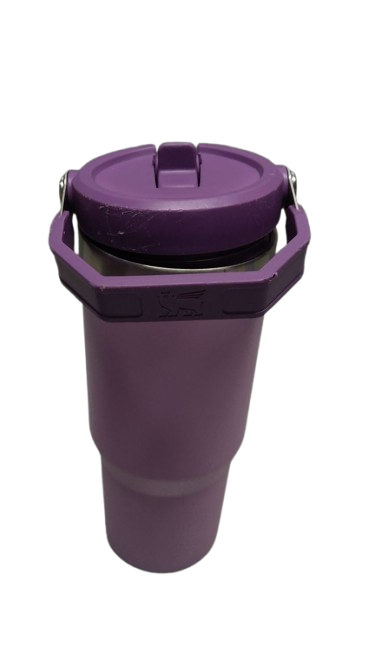 Stanley IceFlow 2.0 Flip Straw Tumbler with Handle 30 oz | Twist On Lid and Flip Up Straw | Leak Resistant Water Bottle | Insulated Stainless Steel | BPA-Free