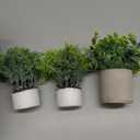 Dahey 3 Pack Mini Potted Artificial Eucalyptus Fake Plants with Wood Tray Centerpiece Table Decorations, Farmhouse Pulp Flower Pots Greenery Home Decor for Coffee Table Dining Room Office Kitchen