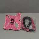 haapaw Dog Harness with Leash Set, No Pull Adjustable Reflective Step-in Puppy Harness with Thickened Padded Vest for Medium Dogs