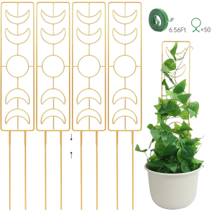 ZOUTOG Trellis for Climbing Plants Indoor 25 Inch with Clips & Plant Ties,Black, Houseplant Trellis for Potted Plants Metal 4Pcs for Vine Ivy Flower Support,Golden