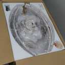 LEDIARY Caged Flush Mount Ceiling Fans with Lights, 23 Inch Farmhouse Low Profile Ceiling Fan with Remote, Small Bladeless Fan Lights Ceiling Fixtures for Bedroom, Kitchen- White and Gold