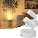 TaoFiaCo Wireless Led Spotlight Indoor, Plant Spotlight Indoor with Remote Dimmable, 350 Rotate,Uplighting Battery Powered Ceiling Light for Artwork Painting Plant Picture Lights, 2 Pack (White)
