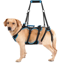 Lafoty Dog Lift Harness for Large Male Dogs, 2in1, Back Leg Support & Mobility Assistance for Senior Dogs, PostSurgery Recovery Sling(Black, Large)