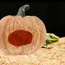 2 x Amosfun Halloween Decoration Resin Pumpkin Cave Reptile Hideout for Turtles Frogs and Lizards - Halloween Party Terrariums and Aquariums Decoration