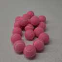 PoyPet 16-Pack Tennis Balls Bulk for Practice,Training and Beginners | Ideal for Dog Fetch,Chew and Play (Medium 2.5"-16 Pack, Pink)