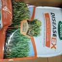 Scotts DiseaseEx Lawn Fungicide, Controls and Prevents Disease Up to 4 Weeks, Treats Up to 5,000 sq. ft., 10 lbs. (2-Pack)