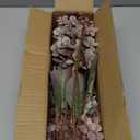 Ttranewsoo Fake Flowers Hydrangea Silk Flowers with Stems,Brown Flowers Fall Hydrangea Artificial Flowers,Winter Flowers Artificial for Decoration Vase Indoor and Outdoor 24"Brown 8PCS Wthout Vase