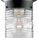 Westinghouse 6691900 One-Light Jelly Jar Porch-Light, Matte Black (No Size)