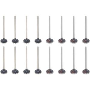 labwork 16 Pcs Intake Valve Kit 11347533884 11347533885 Replacement for Mini Cooper R56 R60