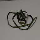 Cat Harness and Leash Set - Escape Proof Adjustable Cat Harness, Comfortable Soft Lightweight, Use Safe & Easy, Walking Travel Kitten Harness for Small Medium Large Cats (Green Growling Crocodile)