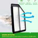 COCOAUTO Engine & Cabin Air Filter Kit for Honda Odyssey (2011-2017), Replaces 17220RV0A00, CA11042, XA6153, 80292SDAA01