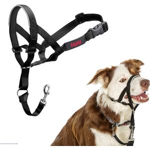Halti Headcollar - Stop Your Dog Pulling on the Leash. Adjustable, Reflective and Lightweight, with Padded Nose Band. Dog Training Anti-Pull Collar for Medium Dogs (Size 2, Black)