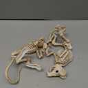 JOYIN 2 PCS Rats Skeleton Halloween Decoration 11 Inch Long Small Animal Skeleton Plastic Mouse Bones for Yard Garden Lawn Patio Graveyard Haunted House Halloween Party Favors Decor