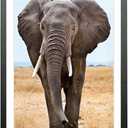 Mxtallup 12x22 Picture Frames Solid wood, Display Pictures 10x20 Inch With Mat or 12x22 Inch Without Mat, Poster Frames 10x20 in Photo Frames Wood Black (T22B1222W1020)