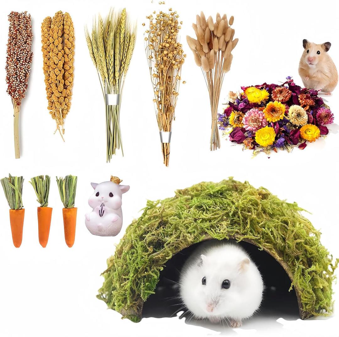 Hamster Cage Accessories - Natural Spray, Chew Food, Bedding & Habitat Decoration, Gerbil Feed