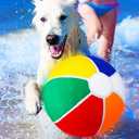 Shappy 1 Pcs Dog Water Toys Giant Pet 9.5" Beach Ball Pool Toys Beach Materials Dog Ball with Air Pump Large Pet Toy Funny Outdoor Sports for Small Medium Puppy Birthday Gift Summer Swimming Pool