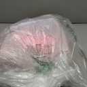 24 Pieces Colorful Long Curly Wigs Wavy Party Wigs Curly Cosplay Costume Wig for Women Party Dcor Bachelorette