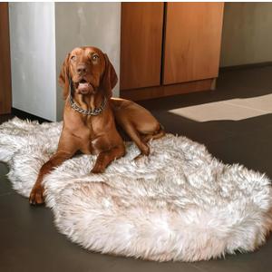 IHAPPYDOG Luxury Faux Fur Orthopedic Dog Bed, Memory Foam Dog Bed for Small, Medium, Large and XL Pets, Fluffy Pet Bed with Waterproof and Washable Cover, White, Large/Extra Large 50"x30"