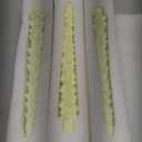 Natural Beeswax Spiral Taper Candles Pack of 6, Organic Dripless Long Candle Sticks for Dinner Wedding Party Christmas Home Decorations - 10 Inch Tall - Off White