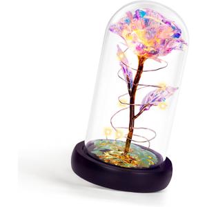Childom Mothers Day Flowers Gifts for Mom Grandma,Birthday Gifts for Women,Valentines Gifts for Her,Mom,Women,Wife,Grandma,Light Up Rose in Glass Dome,Colorful Rainbow Mothers Day Flowers for Delivery