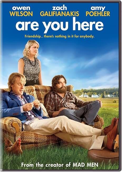 Are You Here, Fading Gigolo, The Paperboy,  DVD, 3 Movies