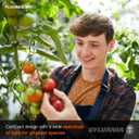 SYLVANIA T8 Gro-Lux Fluorescent Tube 18" Light Bulb, 15W, G12 Bi-Pin Base, 325 Lumens, Non-Dimmable, 5500K  1 Pack (21657), White