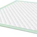 StayDry Medium Absorbency Disposable Underpad, 10 Pads 30 x 36 in