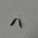OnGuard OG220S replacement nose pad bridge piece large
