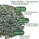 11 lbs Succulent and Cactus Bonsai Pebbles, 6-9mm Decorative Landscaping Stones Natural Garden Gravel Rocks for Indoor Outdoor Plants Aquariums DIY, and Gardening Top Dressing, Green Zeolite