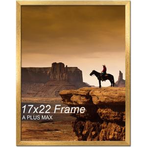 A PLUS MAX 17x22 Picture Frame Gold Light Weight Wall Mount