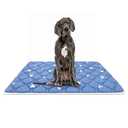 Dog Crate Mat, Ultra Soft Dog Bed Mat for Sleeping with Anti-Slip Bottom, Washable Kennel Pad for Large Medium Small Dogs Breeds with Cute Prints and Dark Colored to Hide Stains (36" X 36")